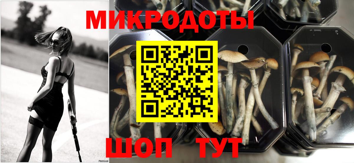 Псилоцибиновые грибы MAGIC MUSHROOMS  Вход с VPN  Северск 